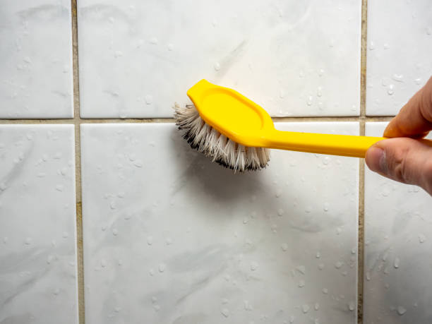 Water Damage Restoration in Prince George, VA