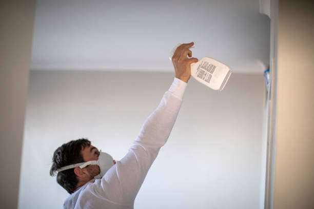 Best Mold Remediation  in Prince George, VA