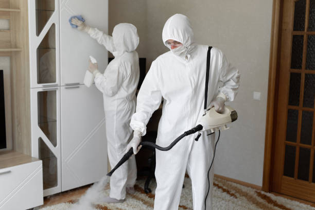 Best Mold Removal Company Near Me  in Prince George, VA