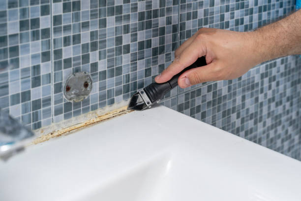 Best Attic Mold Removal  in Prince George, VA